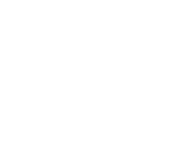Obsidian Mind